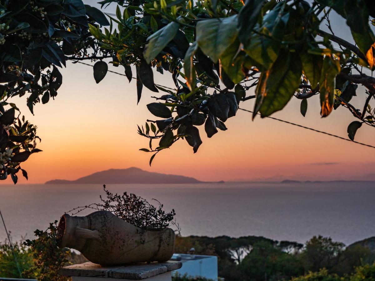 Casa Astra Bed & Breakfast Anacapri  Bagian luar foto